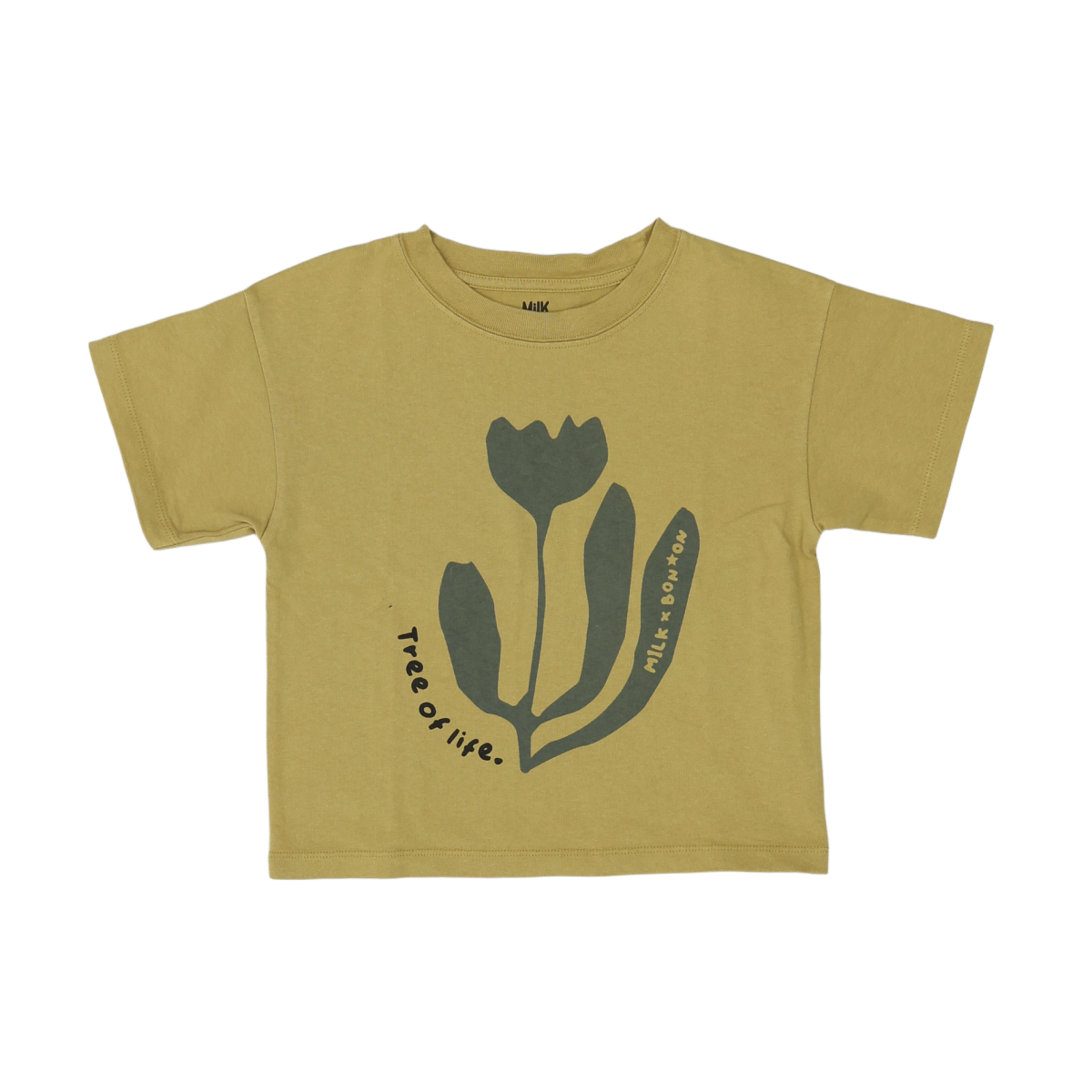 BONTON - T-SHIRT - MARRON - 6 ANS