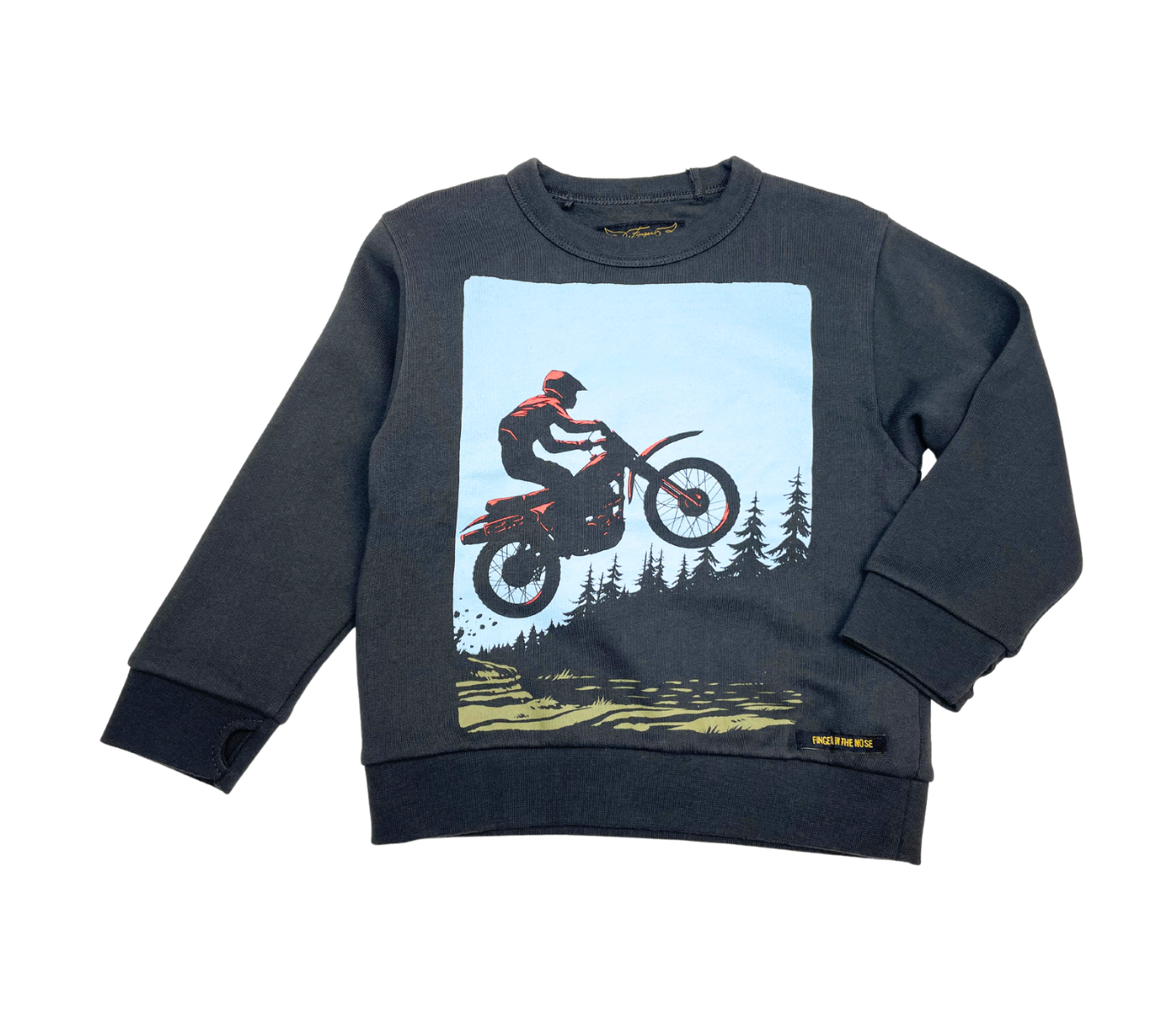 FINGER IN THE NOSE - Sweat gris - 4/5 ans