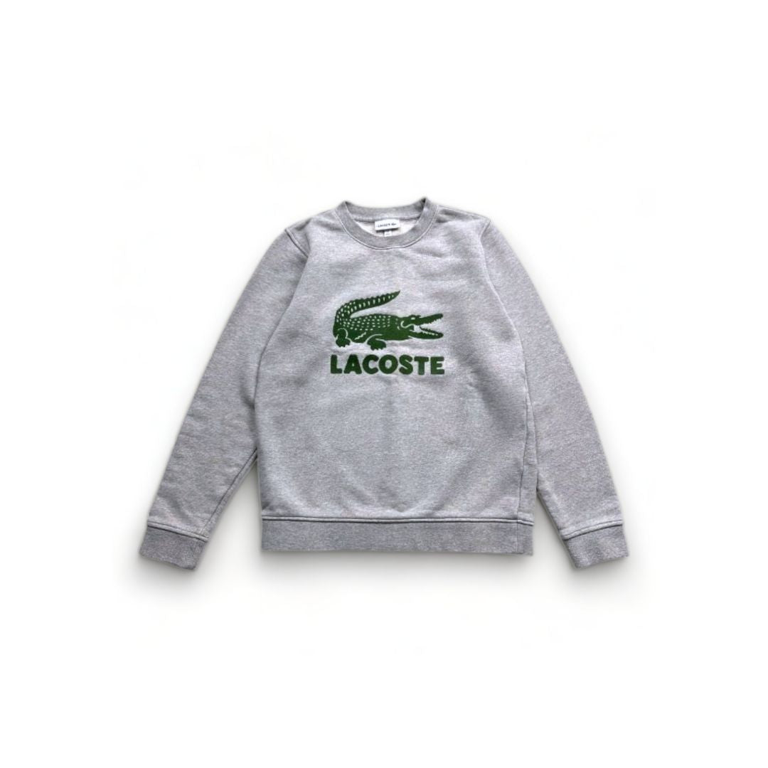 LACOSTE - Sweat gris logo velours vert - 12 ans