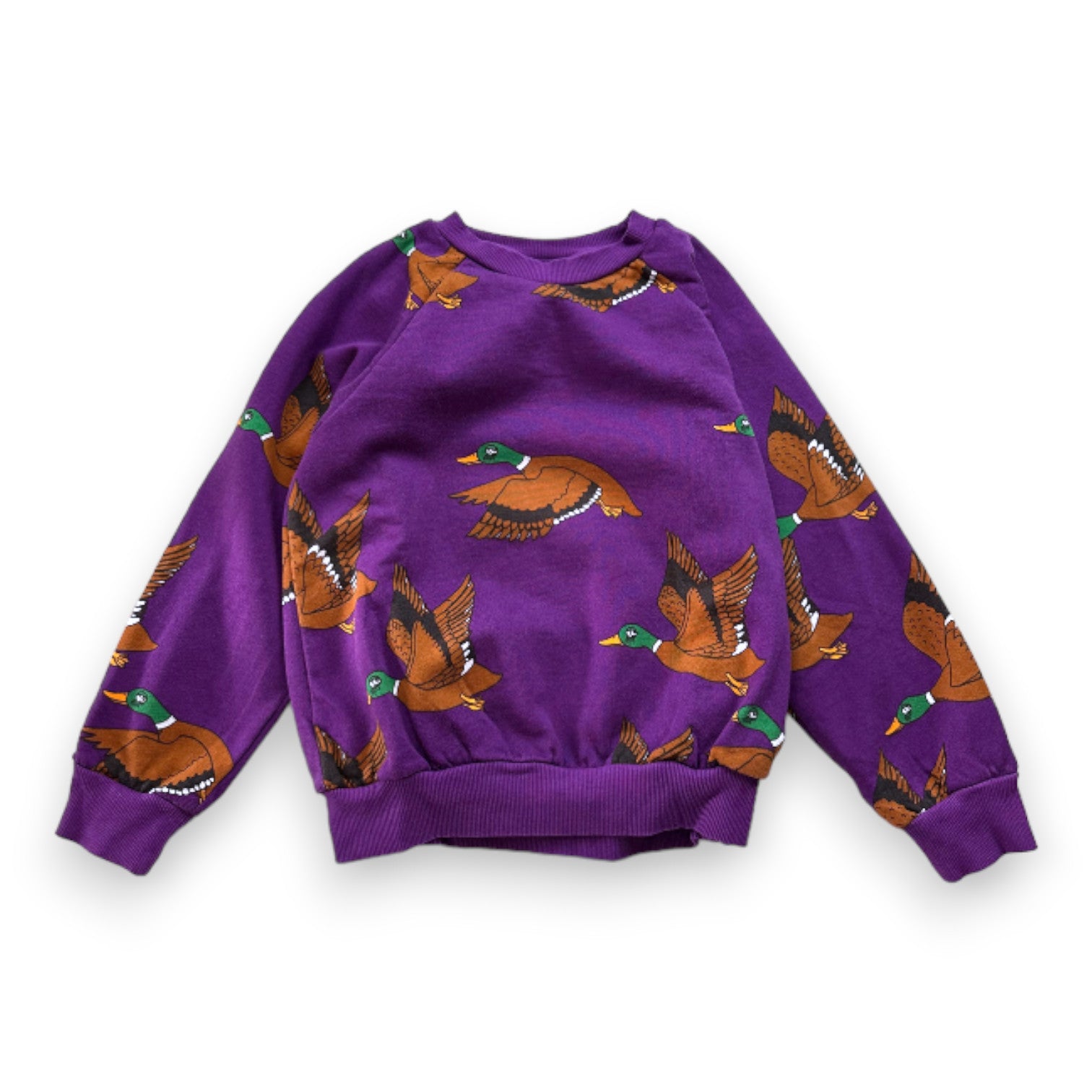 MINI RODINI - Sweat violet imprimé canards - 5 ans