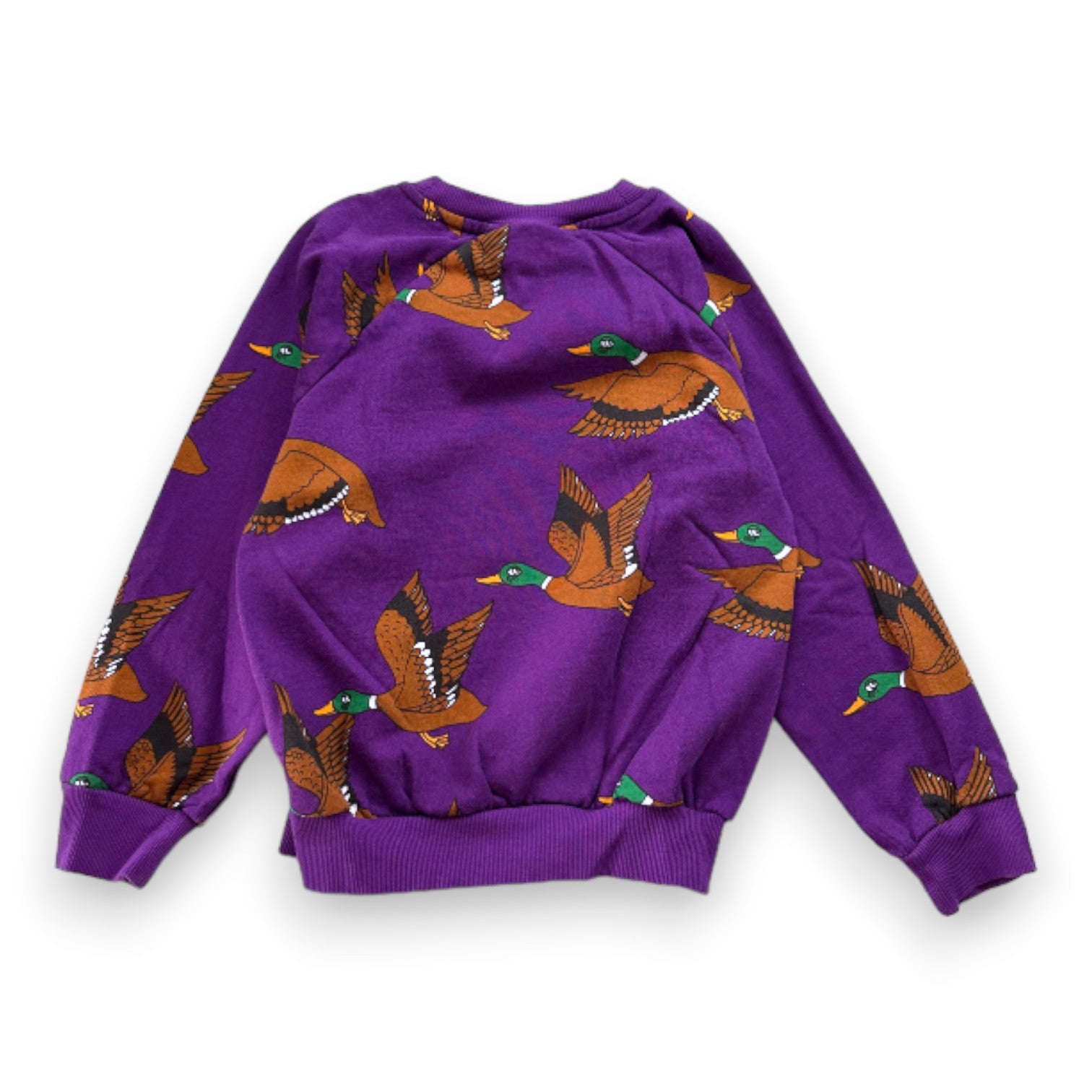MINI RODINI - Sweat violet imprimé canards - 5 ans