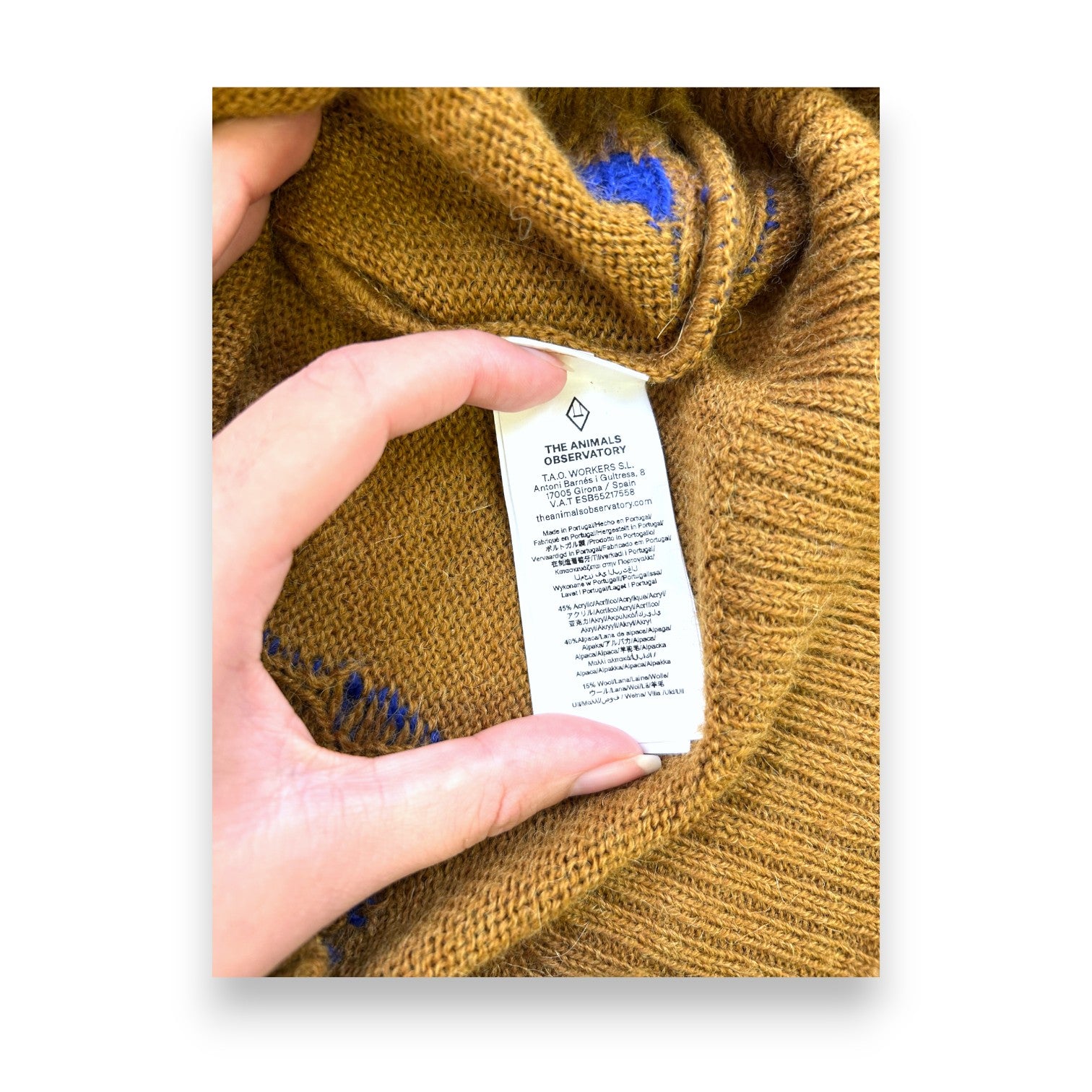 THE ANIMALS OBSERVATORY - Braun-blauer Langarmpullover - 6 Jahre