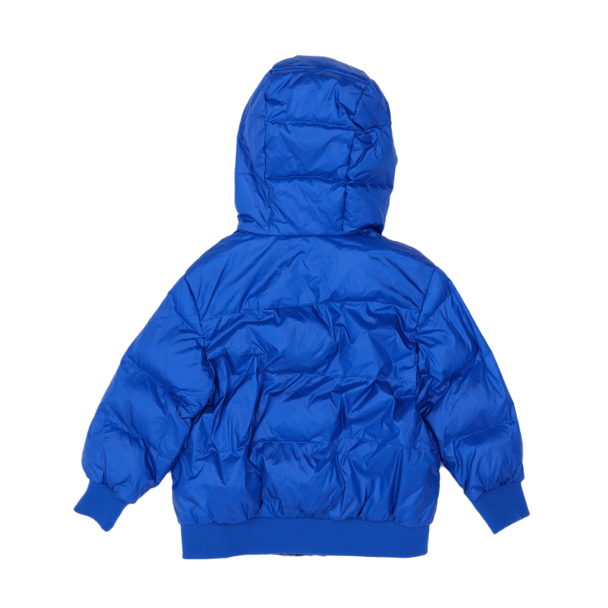 MOSCHINO - DOUDOUNE - BLEU - 4 ANS