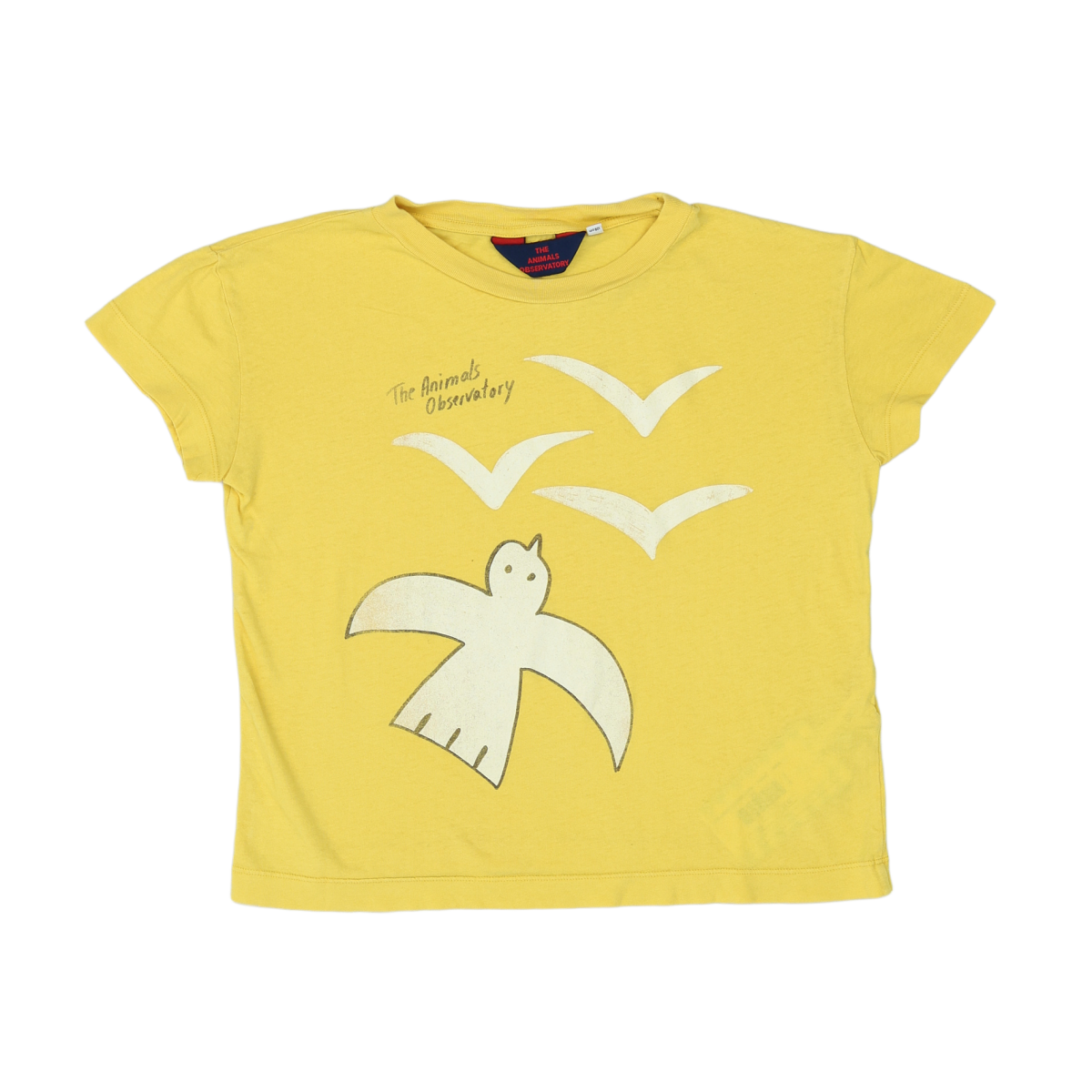 THE ANIMALS OBSERVATORY - T-SHIRT - JAUNE - 8 ANS