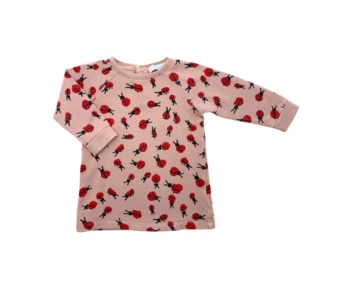 STELLA MCCARTNEY - Marienkäfer-Pullover - 12 Monate