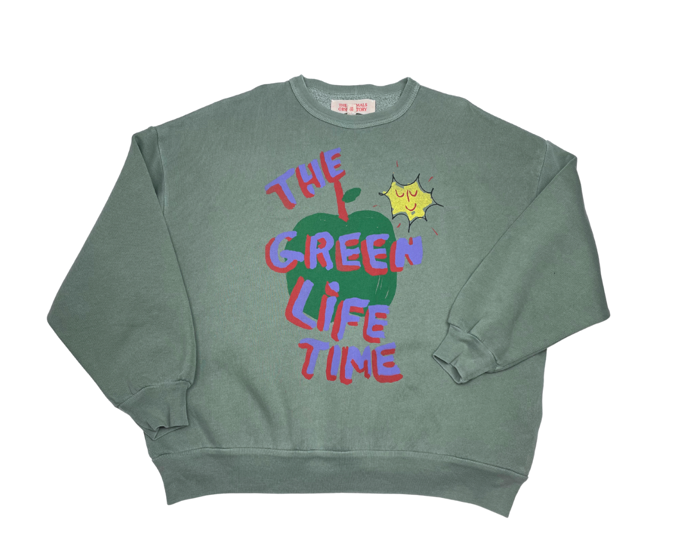 THE ANIMALS OBSERVATORY - Pull vert "the green life time" - 6 ans