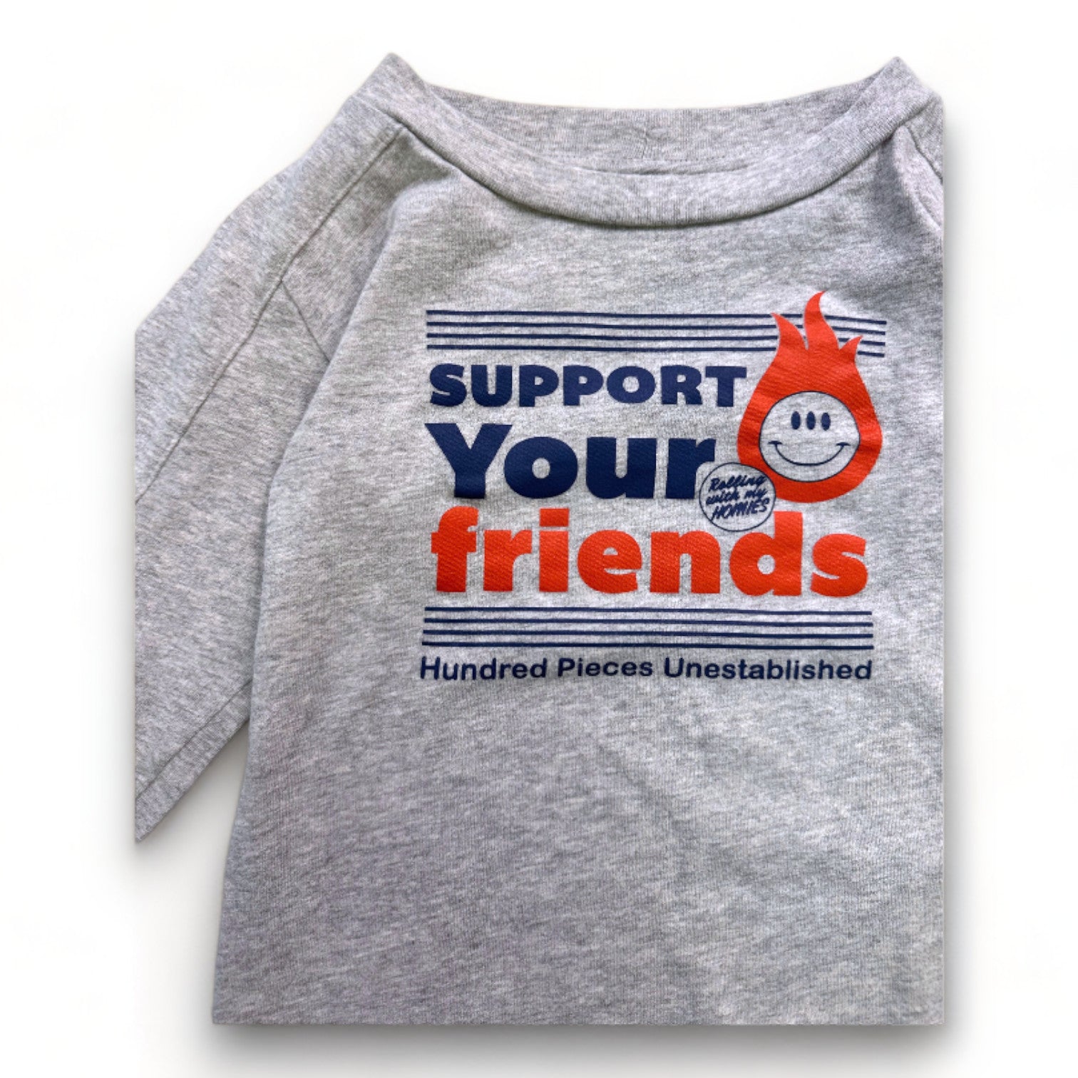 HUNDRED PIECES - T-shirt à manches longues gris avec imprimé - 3 ans