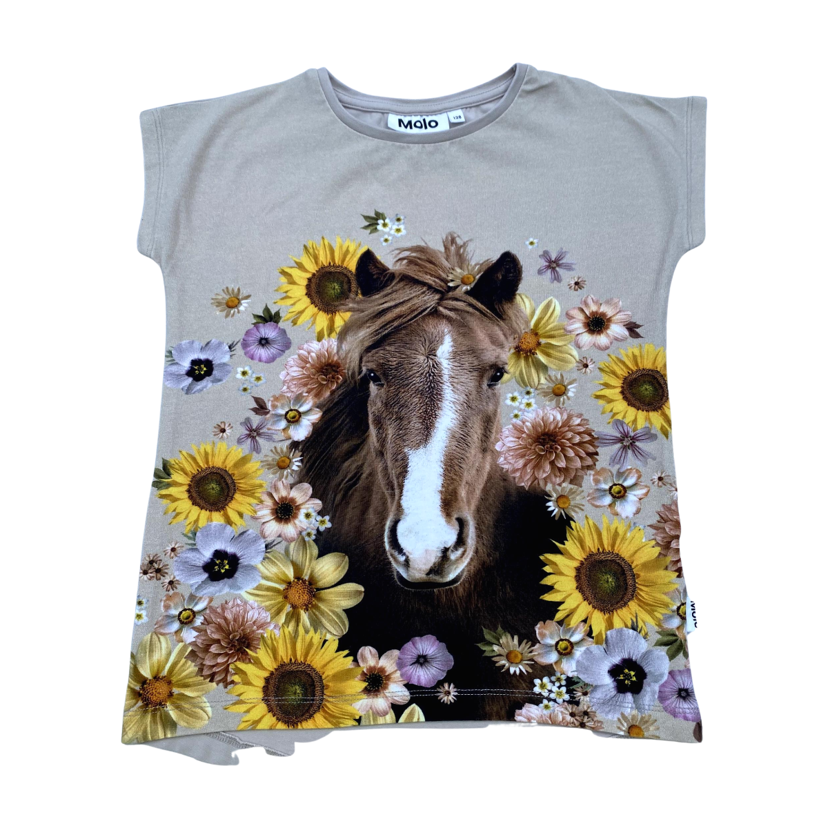 MOLO - T-SHIRT - MARRON, MULTICOLORE - 8 ANS