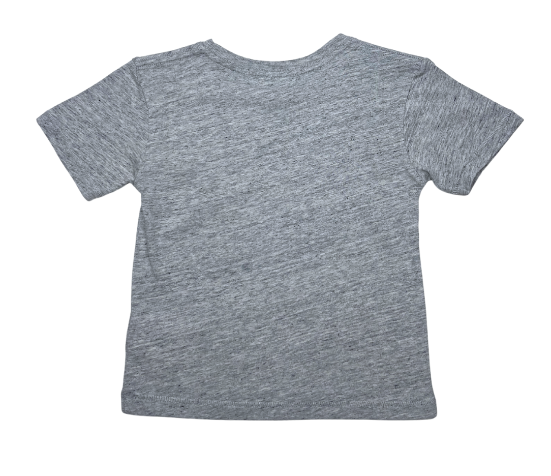 FINGER IN THE NOSE - T-shirt gris Hawaii - 2/3 ans